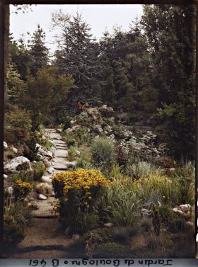 Image représentant Chemin escarpé longeant un vallon rocheux du " sanctuaire japonais "