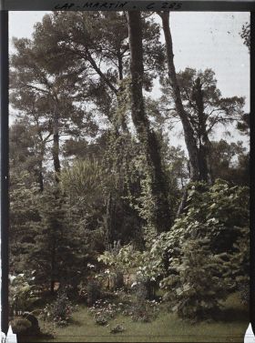 Image représentant Cap-Martin - Le Jardin