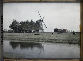 Image représentant Ferme et moulin à vent dans un polder