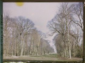 Image représentant Allée de Marne dans le parc
