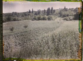 Image représentant Ile de France, Triel, Blés et Pommes de terre