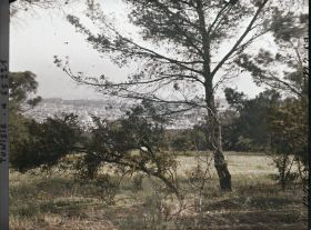 Image représentant Vue de Tunis prise à travers les arbres du Belvédère