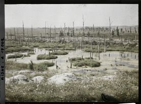 Image représentant France, Les Marais de la Cote 108 et les arbres déchiquetés