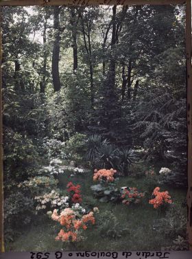 Image représentant jardins en bord du marais