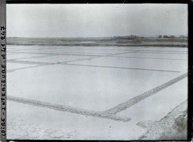 Image représentant Les marais salants