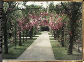 Image représentant Axe central du verger-roseraie vu vers la dépendance, après le rond-point proche du jardin français