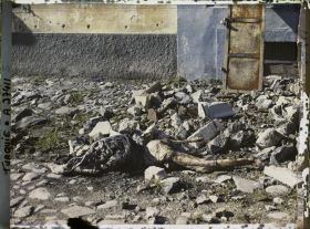 Image représentant Cadavre de femme devant l'église grecque St Dimitri