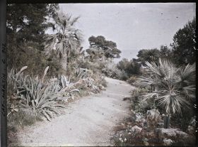 Image représentant Une allée du jardin donnant sur la mer
