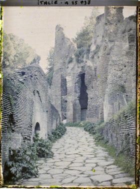 Image représentant Italie, Rome, Paysage dans les ruines du Palatin, Clivus Victoriae