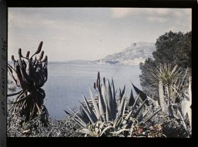 Image représentant Jardin divers