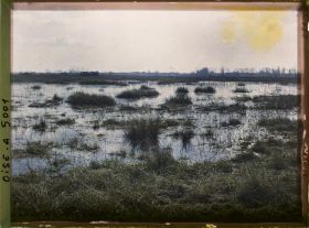 Image représentant Les marais de Saint-Gond