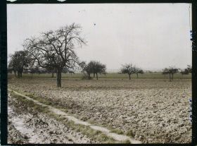 Image représentant France, Les Clayes, Champs et Pommiers