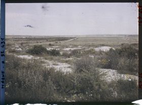 Image représentant France, Reims, Abords de la Pompelle direction vers Zenay