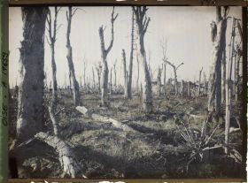 Image représentant France, Noyon, Porte de la Cathédrale