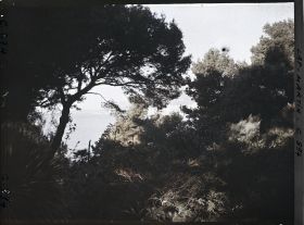 Image représentant Effet du matin s/ Monaco (autre)