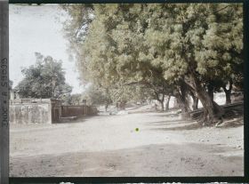 Image représentant Route de Sarnath