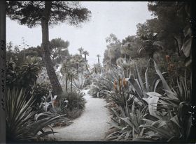 Image représentant Le Jardin