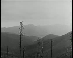 Image représentant Les cimetières militaires allemands du Linge et la vallée de la Fecht