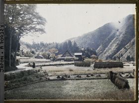 Image représentant Paysage de riziculture en période de moisson