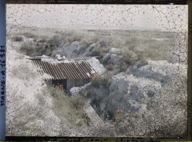 Image représentant France, Tranchée Couverte de Coquelicots