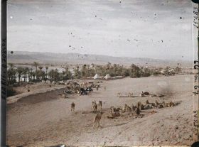 Image représentant Le camp des forces anglo-arabes, au bord du golfe d'Aqaba
