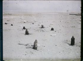 Image représentant Site palafittique préhistorique des Alpes, pieux en bois visibles lors de la baisse des eaux après la grande sécheresse de 1921 sur le lac de Neuchâtel