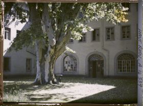 Image représentant Alsace, Thann, Le grand platane de la Cour de réception de l'Hospice