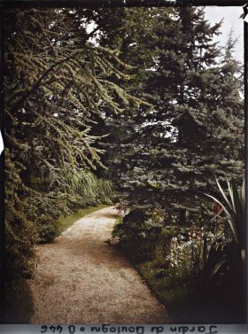 Image représentant Allée de la forêt bleue bordée de plates-bandes fleuries