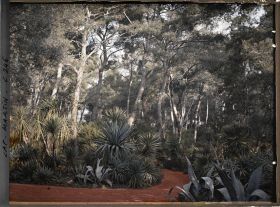 Image représentant Cap-Martin - Le Jardin