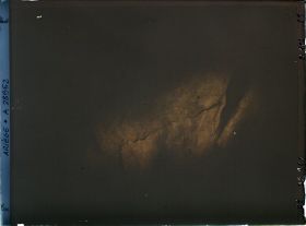 Image représentant La grotte des Trois-Frères : le bouquetin