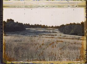 Image représentant Ile de France, Vallangoujard, Champ d'Avoine au lever du soleil