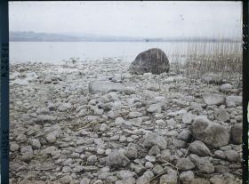 Image représentant Site palafittique préhistorique des Alpes, pieux en bois visibles lors de la baisse des eaux après la grande sécheresse de 1921