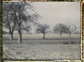 Image représentant France, Les Clayes, Champ et Pommiers