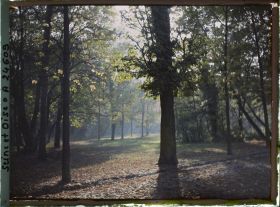 Image représentant Dans le parc