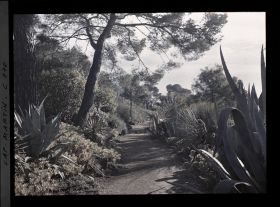 Image représentant allée allant de Miramar à la gde villa