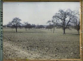 Image représentant France, Les Clayes, Champs et Pommiers
