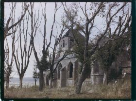 Image représentant France, Dun s/Meuse, Le Clocher de l'Eglise et les arbres morts de la place