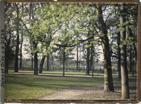 Image représentant Dans le parc