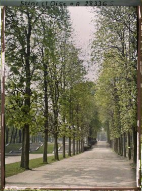 Image représentant L'allée de la Carrière dans le petit parc