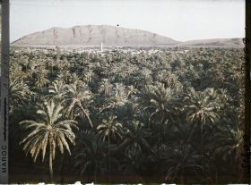 Image représentant Le soir, vue sur la palmeraie de Zenaga