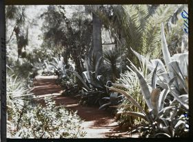 Image représentant le jardin