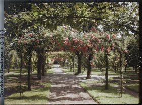 Image représentant Axe central du verger-roseraie vu en direction du jardin anglais, près du rond-point côté dépendance