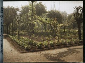 Image représentant Partie nord-ouest du verger-roseraie plantée de légumes, vue à proximité de la dépendance