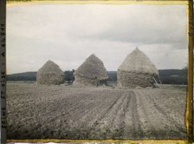Image représentant Ile de France, Mafliers, Meules de blé et labourage de la terre