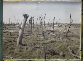 Image représentant Belgique, Nieuport, Défenses Allemandes, rive gauche de l'Yser
