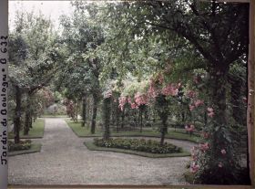 Image représentant Allée du verger-roseraie vue en direction du sud, depuis le rond-point proche du jardin français