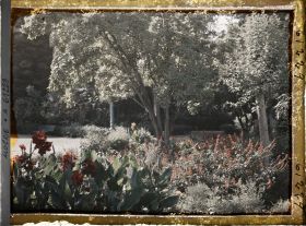 Image représentant Le jardin Bizot