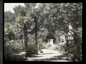 Image représentant Allée longeant le perron de la villa Miramar, côté jardin, en direction de l'ouest