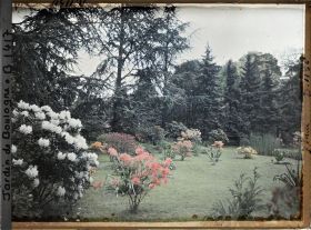 Image représentant Azalées et rhodos sur la pelouse près du marais