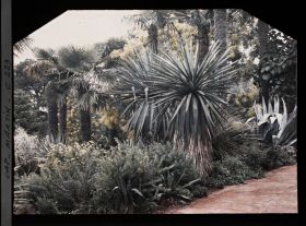 Image représentant Cap-Martin - Le Jardin
